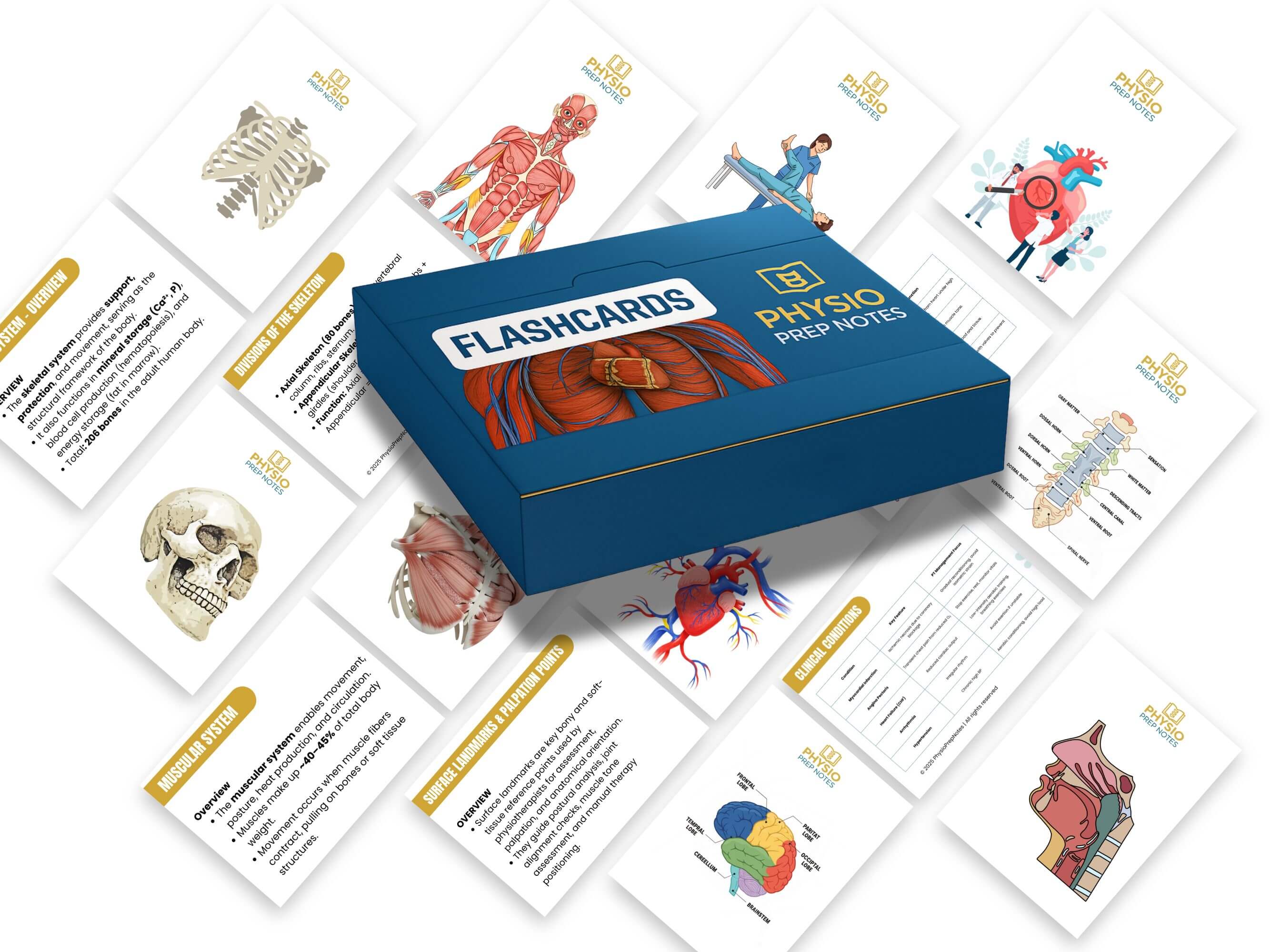 The Complete Physiotherapy Student Bundle