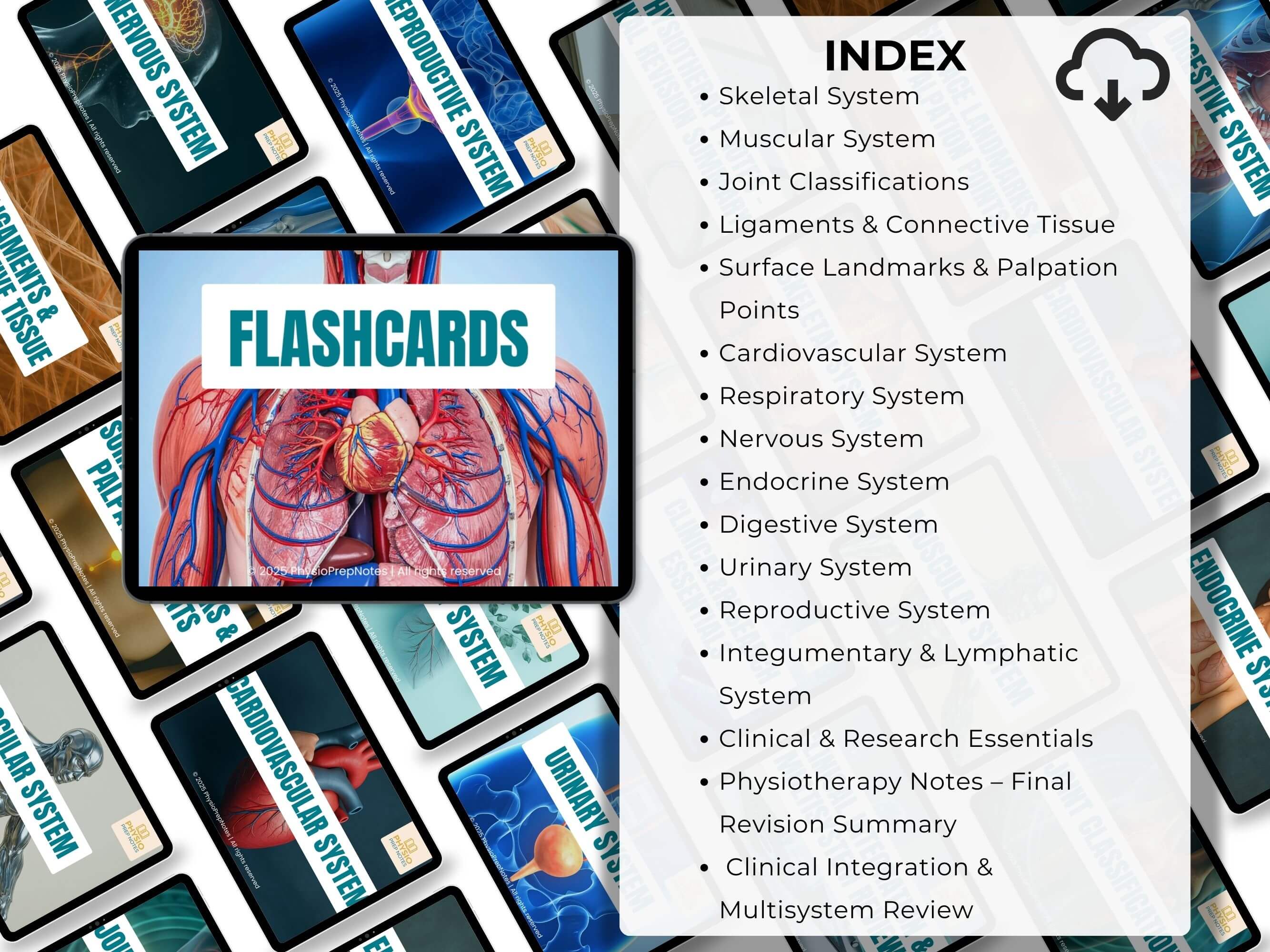 The Complete Physiotherapy Student Bundle